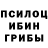 Галлюциногенные грибы Psilocybine cubensis Ahmet Elesger