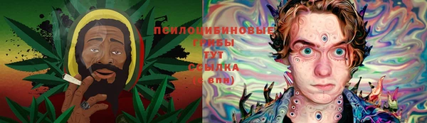 дмт Белокуриха