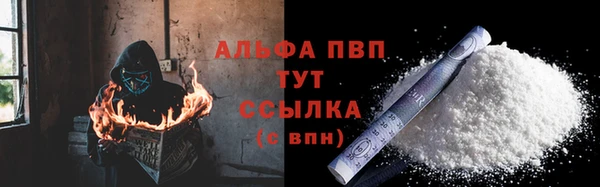 дмт Бородино