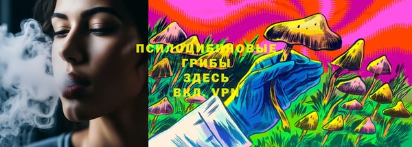 дмт Белокуриха